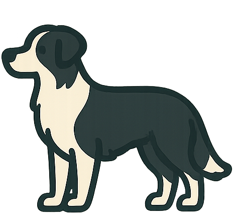 Border Collie icon