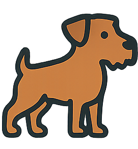 Border Terrier icon