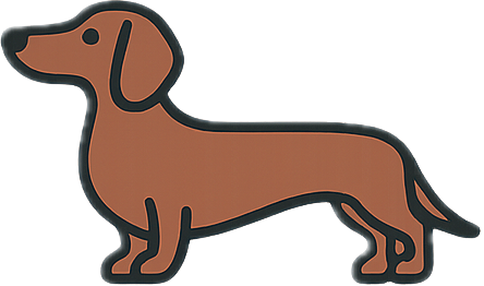 Dachshund