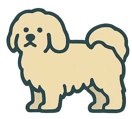Havanese icon