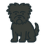Affenpinscher