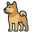 Akita