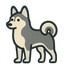 Alaskan Klee Kai