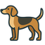 American Foxhound