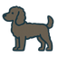 American Water Spaniel