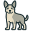 Australian Cattle Dog