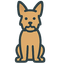 Australian Terrier
