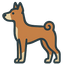 Basenji
