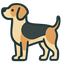 Basset Hound