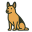 Belgian Sheepdog