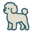 Bichon Frise