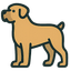 Boerboel