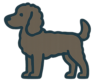American Water Spaniel icon