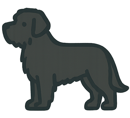 Black Russian Terrier icon
