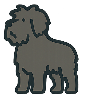 Bouvier Des Flandres icon