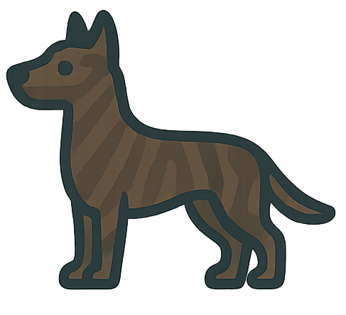 Dutch Shepherd icon