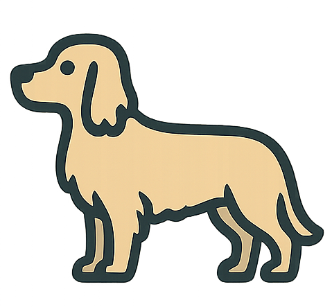 English Setter icon