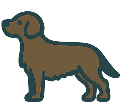 Flat-coated Retriever icon