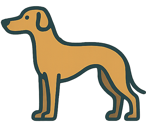 Greyhound icon