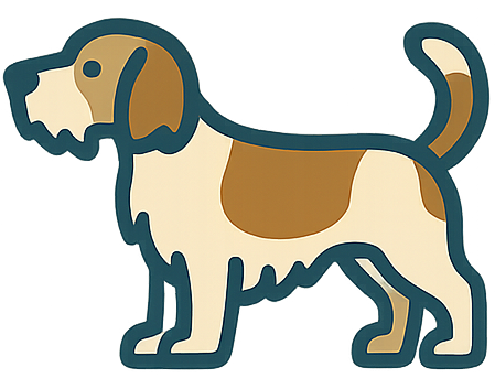 Petit Basset Griffon Vendéen icon