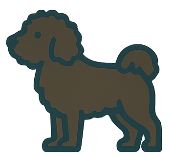 Spanish Water Dog icon